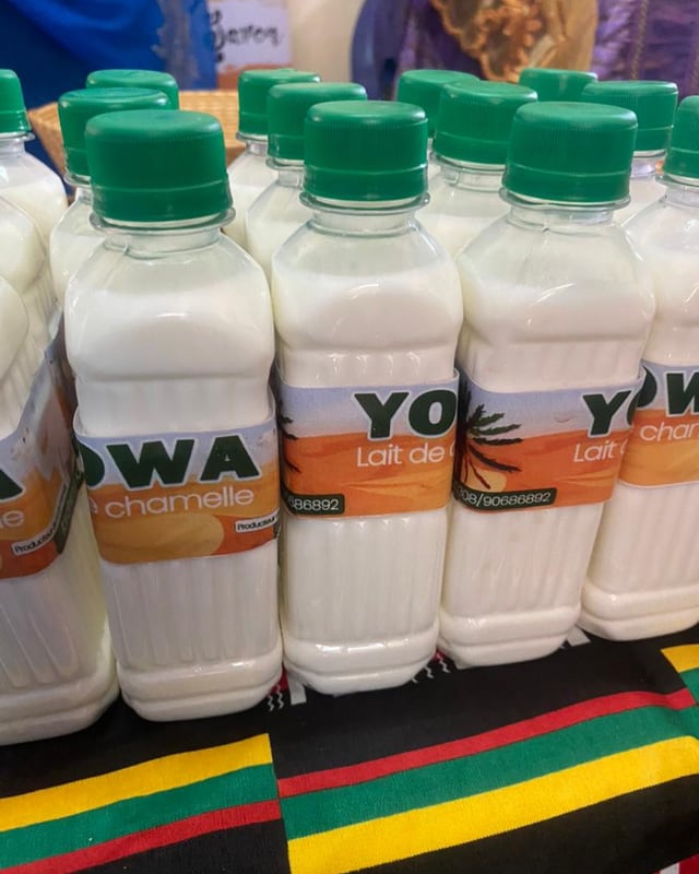 Lait de chamelle